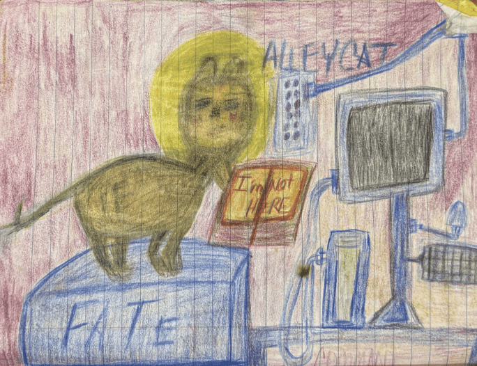 Street Voices V5N46 2025 – Spanish